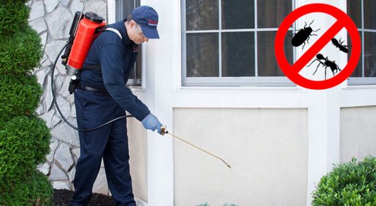 Görele Akrep İlaçlama böcek ilaçlama ve haşere kontrolü — ilaclama-tr.com